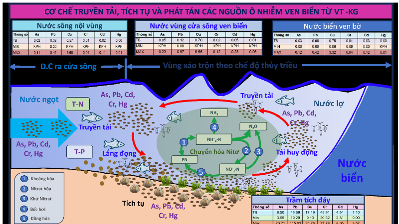 Sơ đồ cơ chế truyền tải, tích tụ và phát tán các nguồn ô nhiễm ven biển từ Vũng Tàu đến Kiên Giang. (Ảnh: TL)