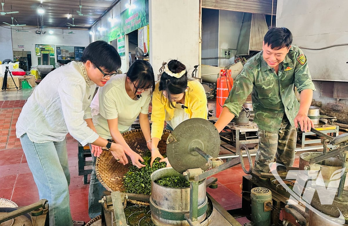 محترمہ ٹران تھی وان چینی سیاحوں کو یہ تجربہ کرنے کے لیے رہنمائی کر رہی ہیں کہ مشین کے ساتھ چائے کو کیسے گوندھنا ہے۔