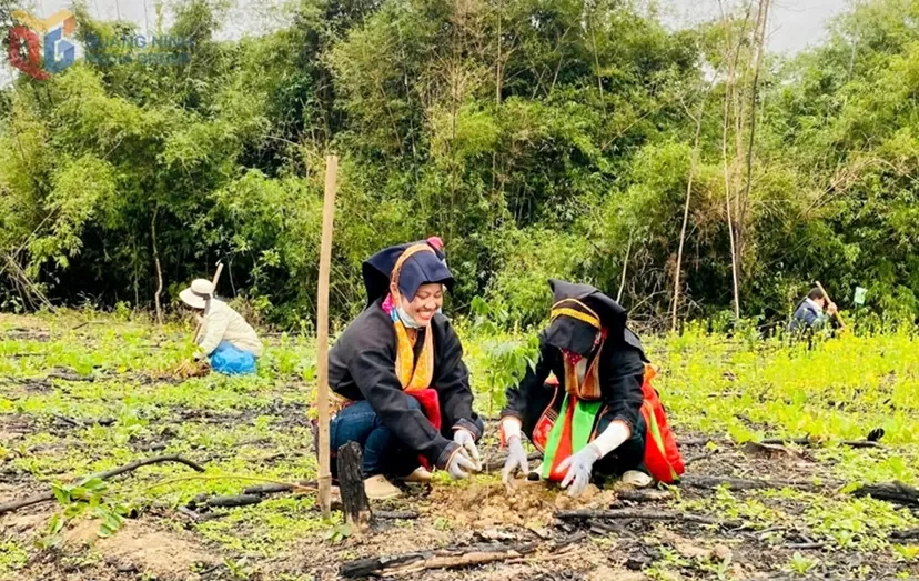 ערכים תרבותיים הם משאבים אנדוגניים המסייעים לקואנג נין להתפתח במהירות ובת קיימא. Giá trị văn hóa là nguồn lực nội sinh giúp Quảng Ninh phát triển nhanh, bền vững