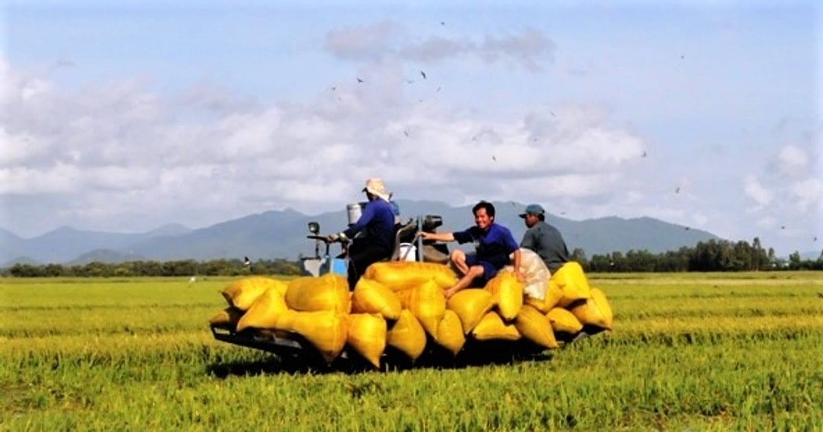 TP. Cần Thơ: Phát triển nông nghiệp ứng dụng công nghệ cao thích ứng với biến đổi khí hậu
