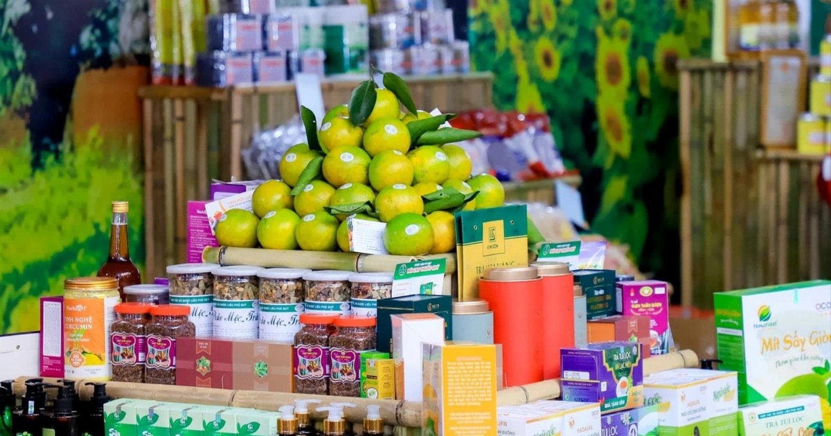 Tạo sức bật cho sản phẩm OCOP Nghệ An