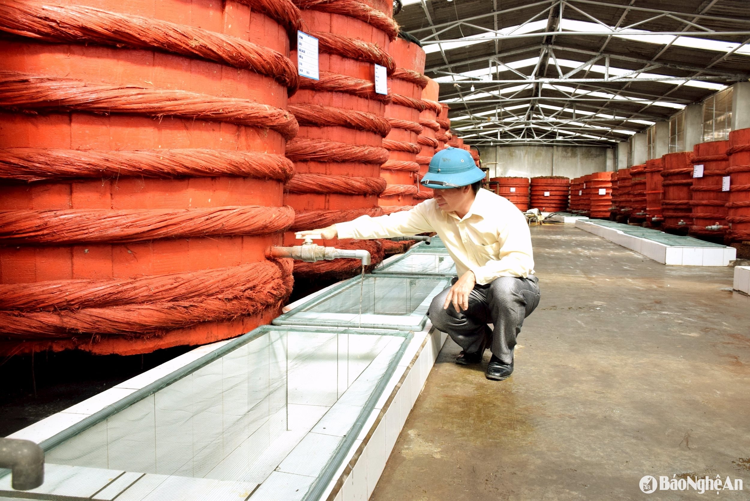 فرآوری سس ماهی سنتی در شرکت سهامی غذاهای دریایی ون فان (دین چائو). عکس: شوان هوانگ