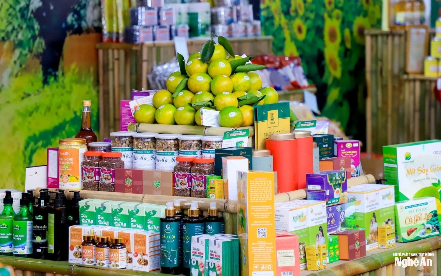 آنه-تان-نگا (1).jpg