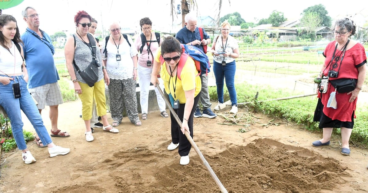 “Kết nối” nông nghiệp sạch với du lịch