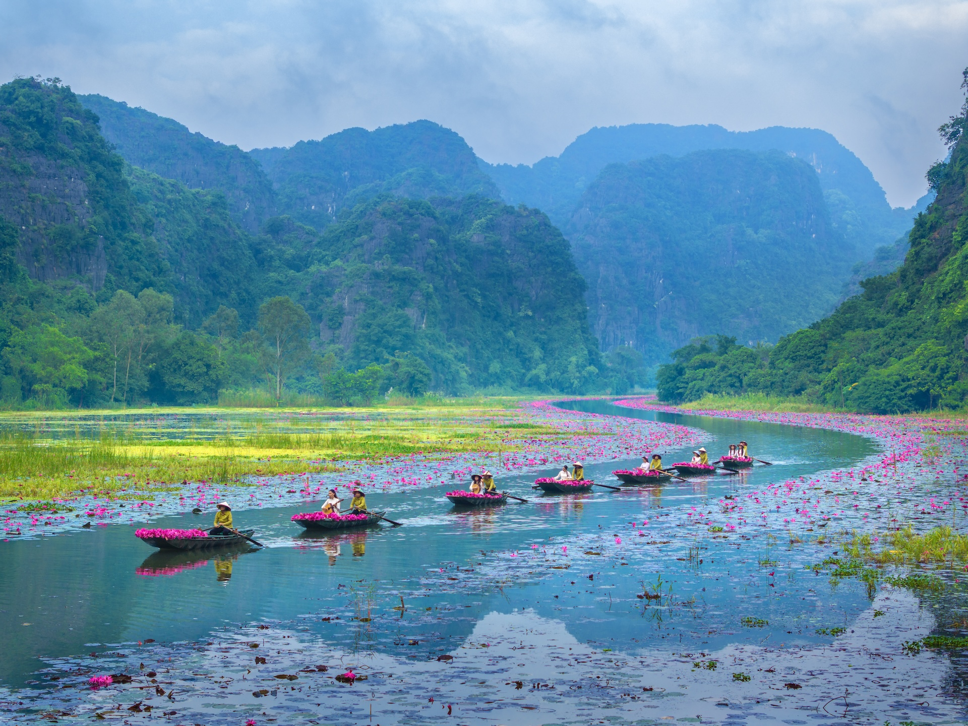 Sắc hồng Tam Cốc 2025-Bản tình ca mùa thu giữa lòng di sản