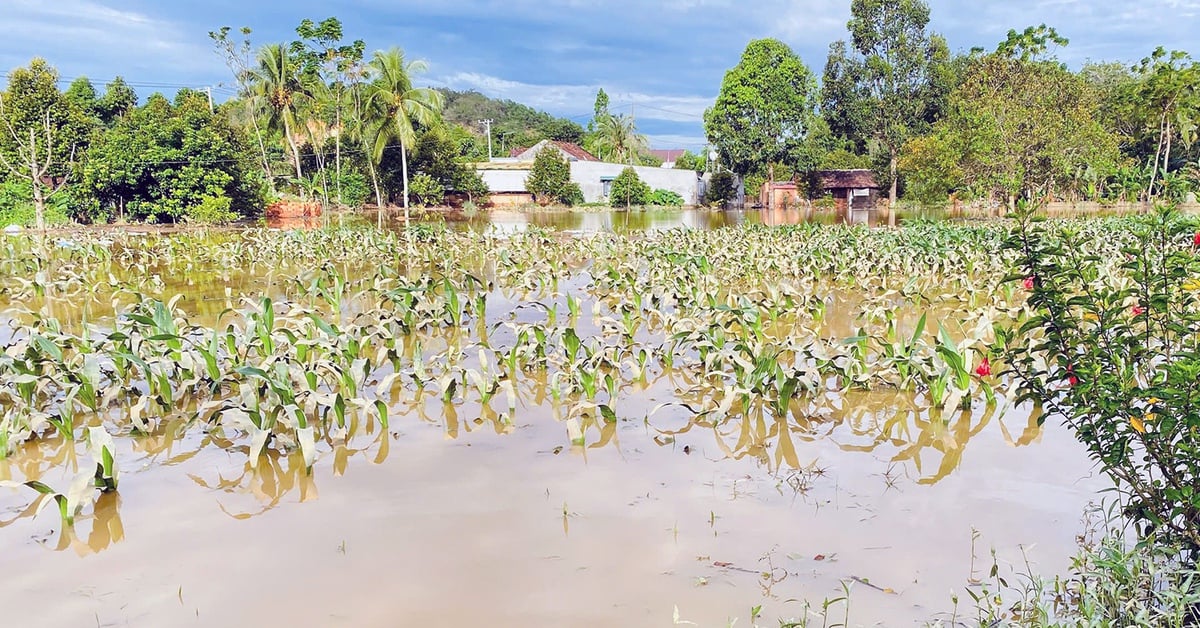 Đồng Nai đề nghị Lâm Đồng phối hợp cung cấp thông tin xả lũ các hồ thủy điện