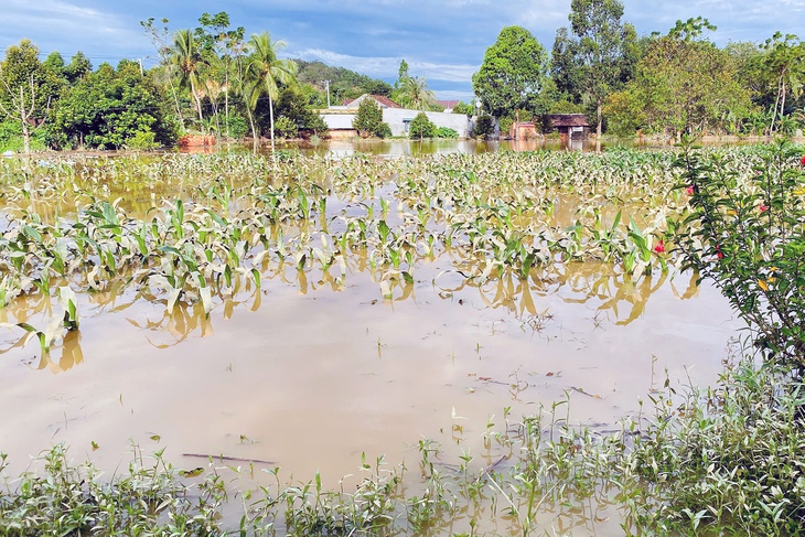 thủy điện - Ảnh 1.