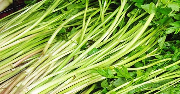 Người bị axit uric máu cao nên ăn gì?