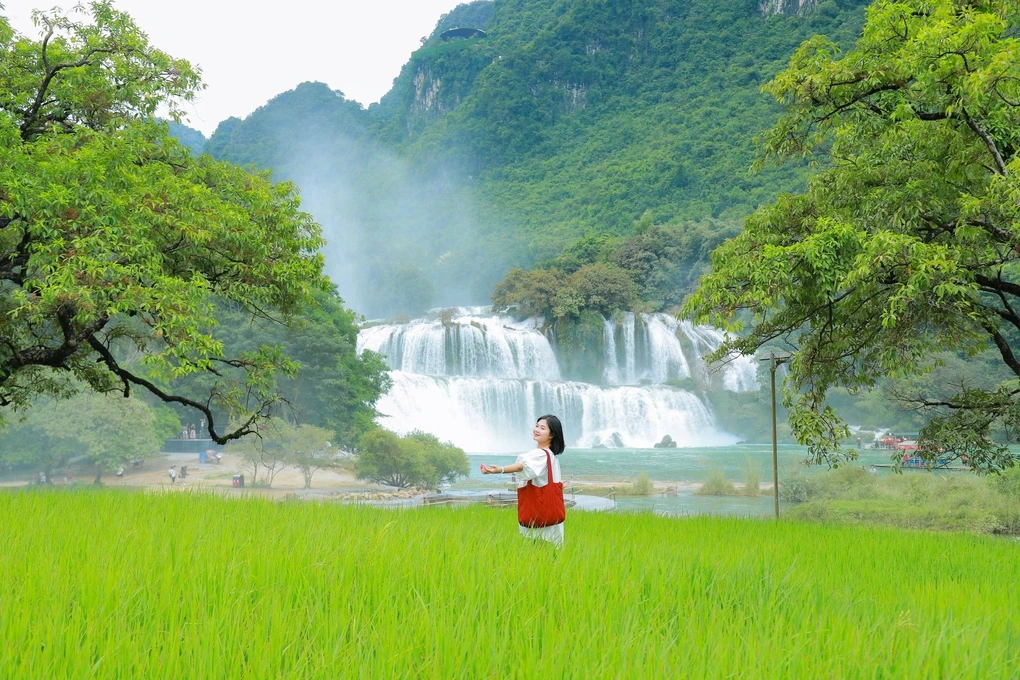 Cao Bang កសាង​ផលិតផល​ទេសចរណ៍​កសិកម្ម​ជា​ច្រើន​ទាក់ទាញ​ភ្ញៀវ​ទេសចរ​យ៉ាង​ច្រើន​កុះករ - ៣