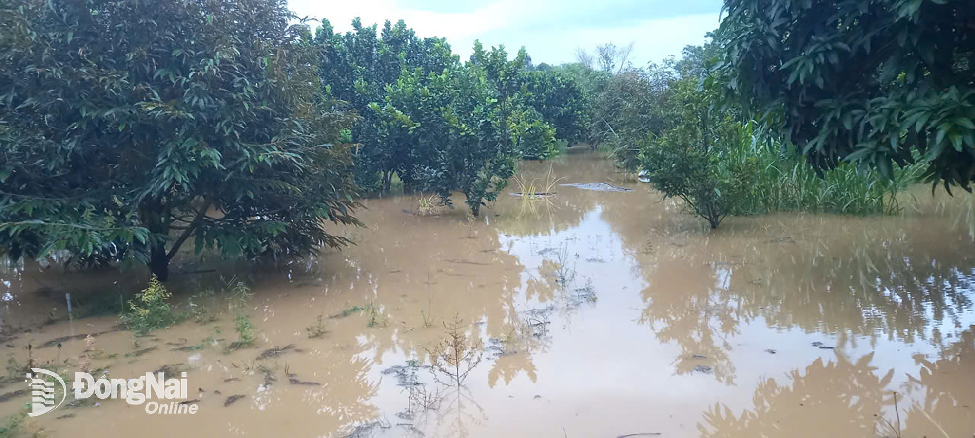 Ngập lụt tại xã Đak Lua. Ảnh: CTV
