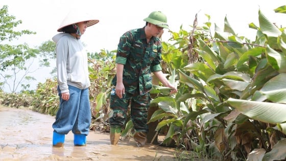 Lào Cai: Chuyển đổi cơ cấu cây trồng thích ứng điều kiện ngập úng