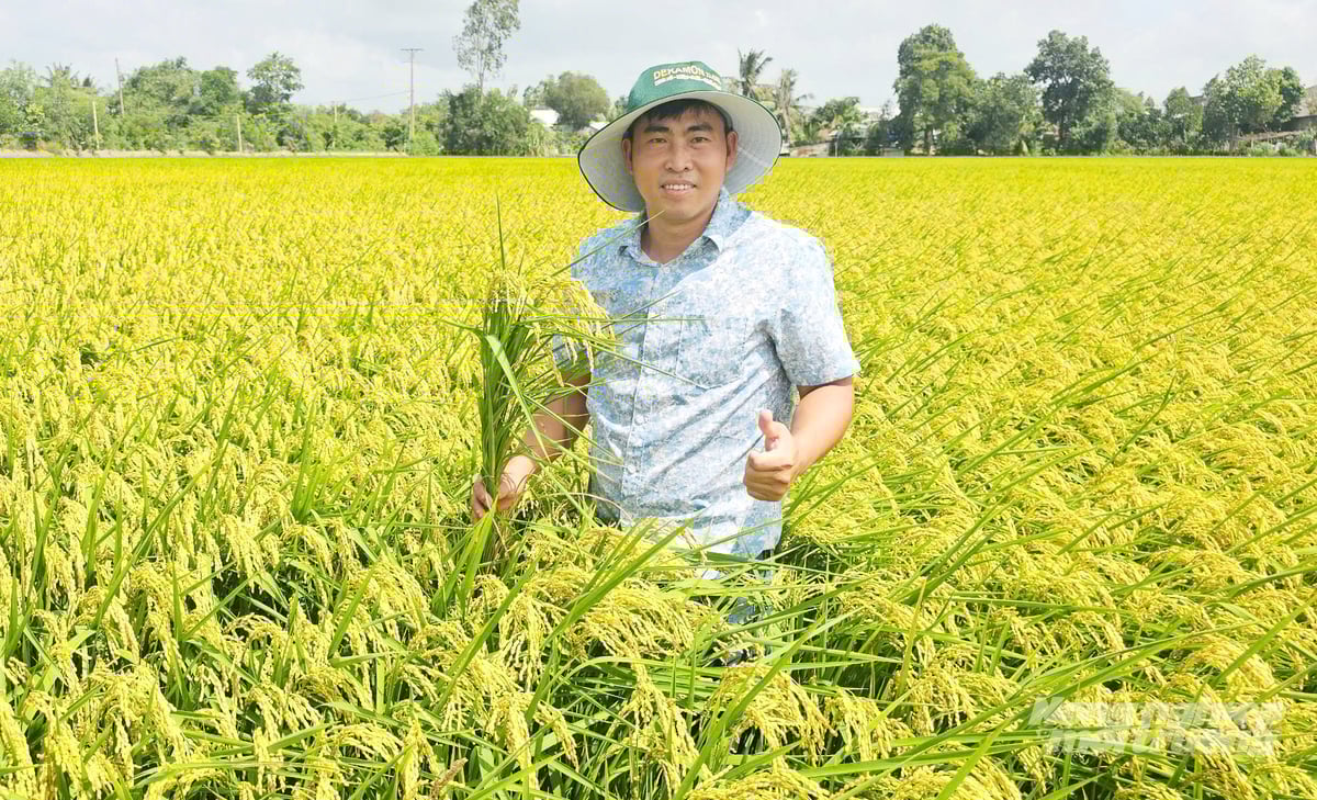 HTX Dịch vụ Phú Nông Xanh hiện có 20 thành viên chính thức, 300 hộ liên kết và quản lý hơn 3.000ha sản xuất mỗi vụ. Ảnh: Lê Hoàng Vũ.