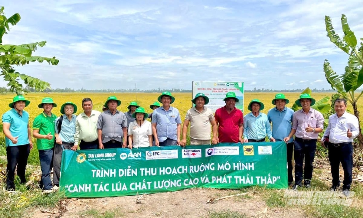 Nhiều nông dân và doanh nghiệp đến thăm mô hình sản xuất lúa của HTX Phú Nông Xanh và HTX kỳ vọng trở thành vùng nguyên liệu chiến lược của các doanh nghiệp xuất khẩu lớn, mở ra cơ hội nâng giá trị hạt lúa địa phương lên tầm cao mới. Ảnh: Lê Hoàng Vũ.