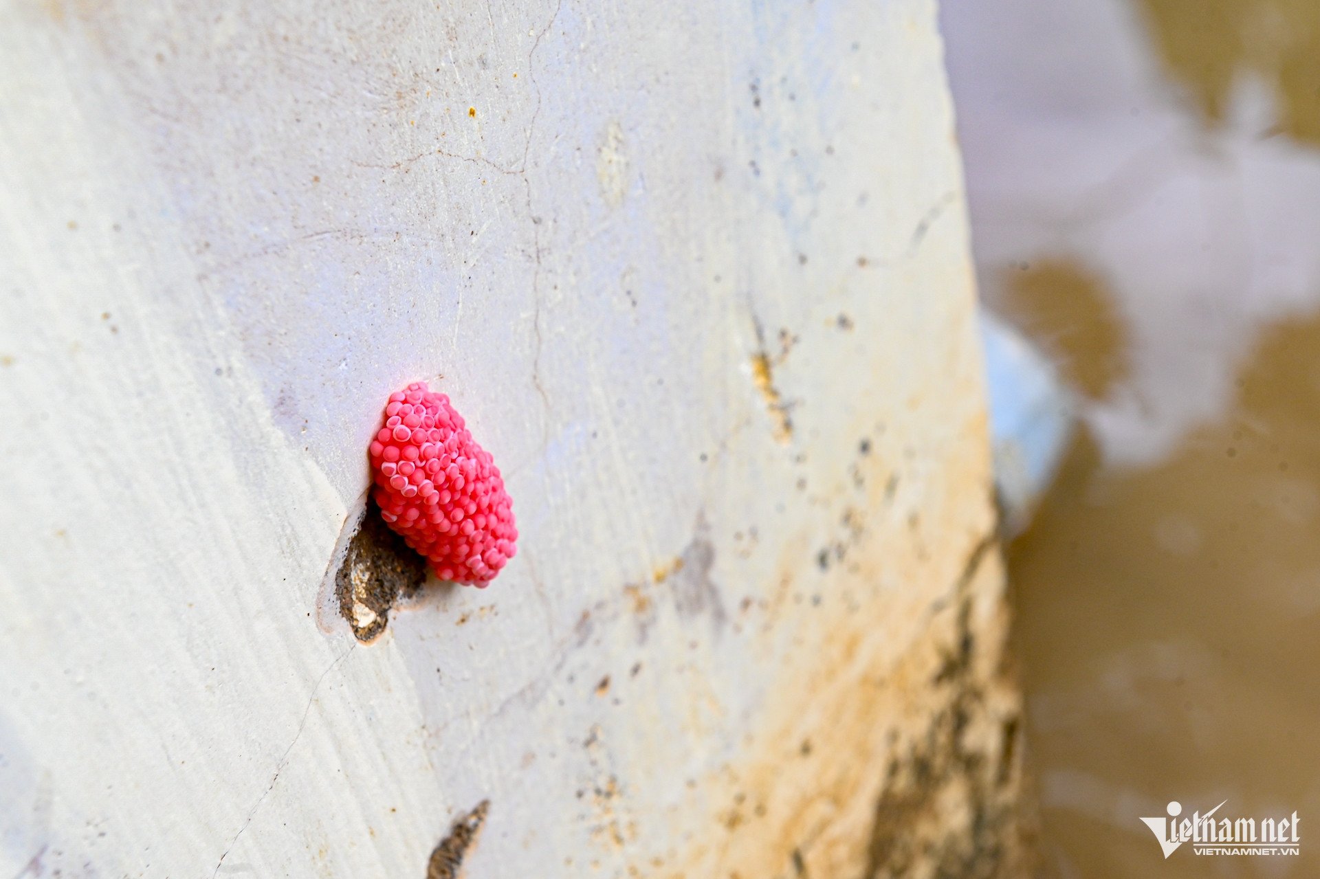 W-홍수 나트랑 6.jpg