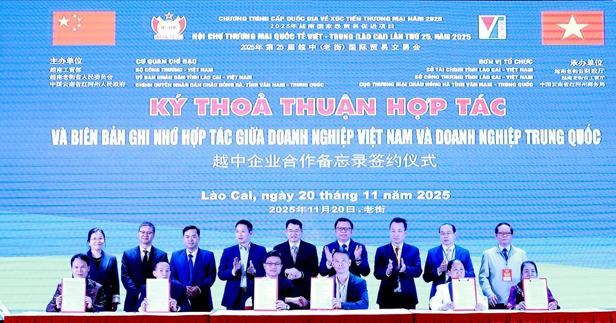 Mở rộng hợp tác và thu hút đầu tư song phương