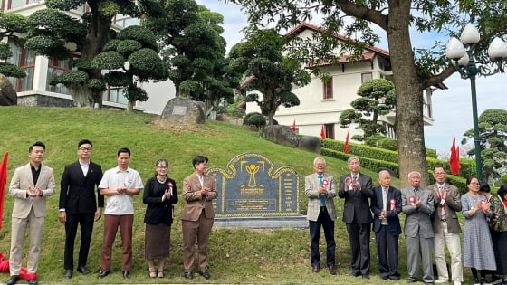 12 cây cổ thụ ở Bắc Ninh được công nhận Cây Di sản Việt Nam