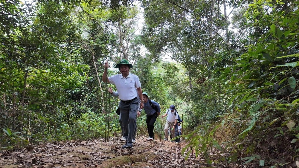 „Aranylehetőség” a Pu To Co hegycsúcs meghódítására, a Muong Thanh-medence felfedezésére - 2. kép