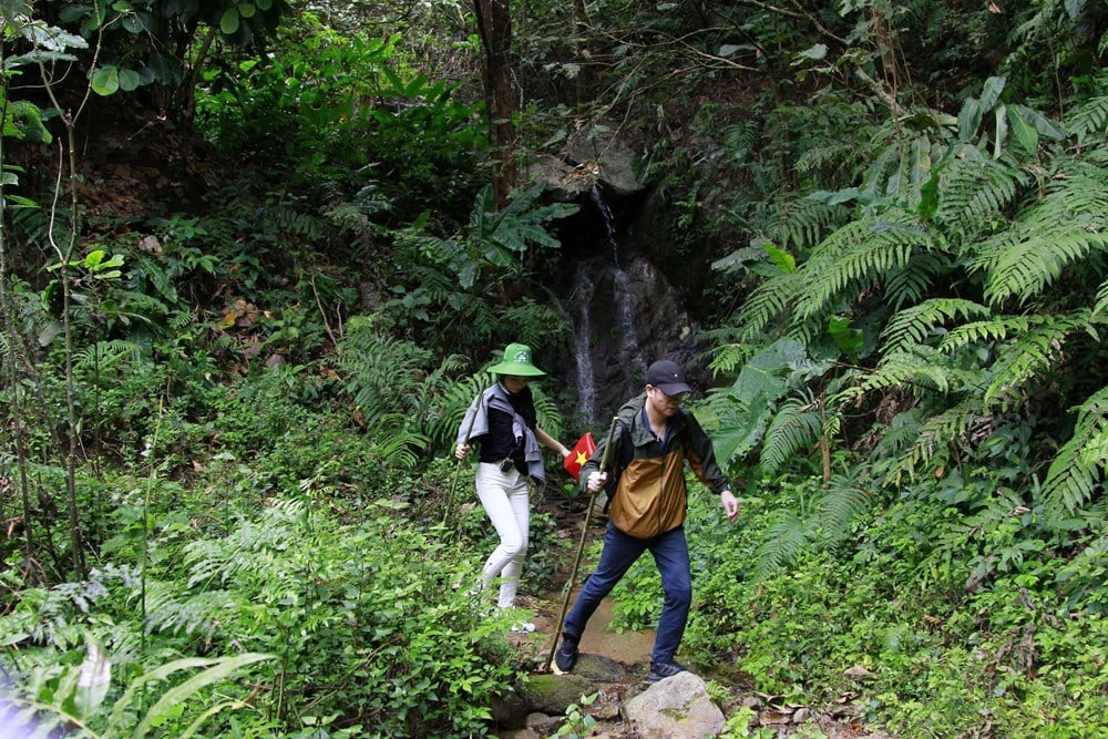 „Aranylehetőség” a Pu To Co hegycsúcs meghódítására, a Muong Thanh-medence felfedezésére - 3. kép