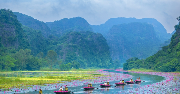 Khởi động chương trình “Sắc hồng Tam Cốc 2025 - Bản tình ca mùa thu”