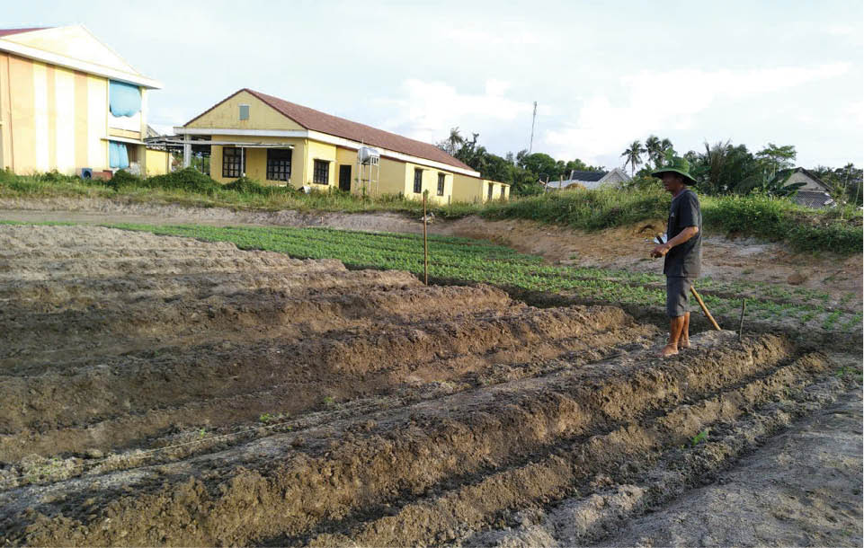 Vinh Lộc chuyển hướng phát triển nông nghiệp sạch