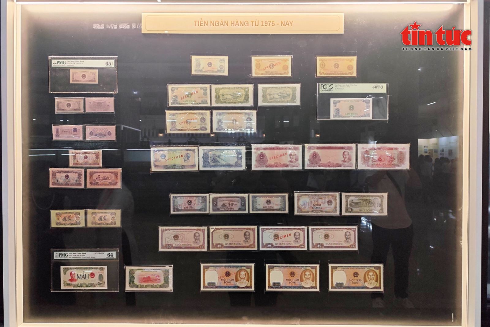 写真のキャプション