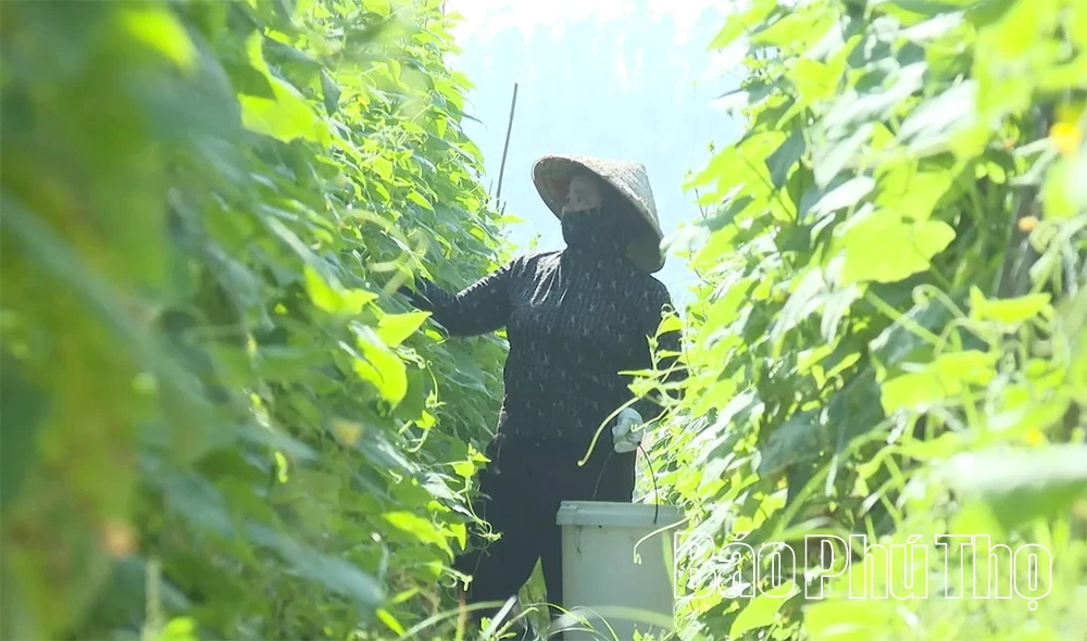 Ο ρόλος της συλλογικής οικονομίας