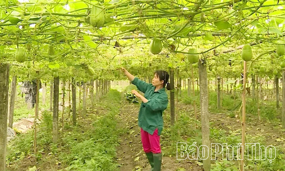 Ο ρόλος της συλλογικής οικονομίας