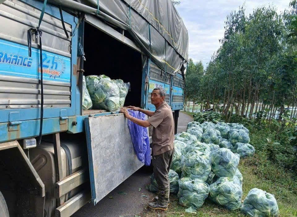 写真のキャプション