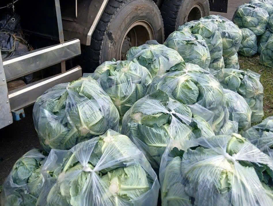 写真のキャプション