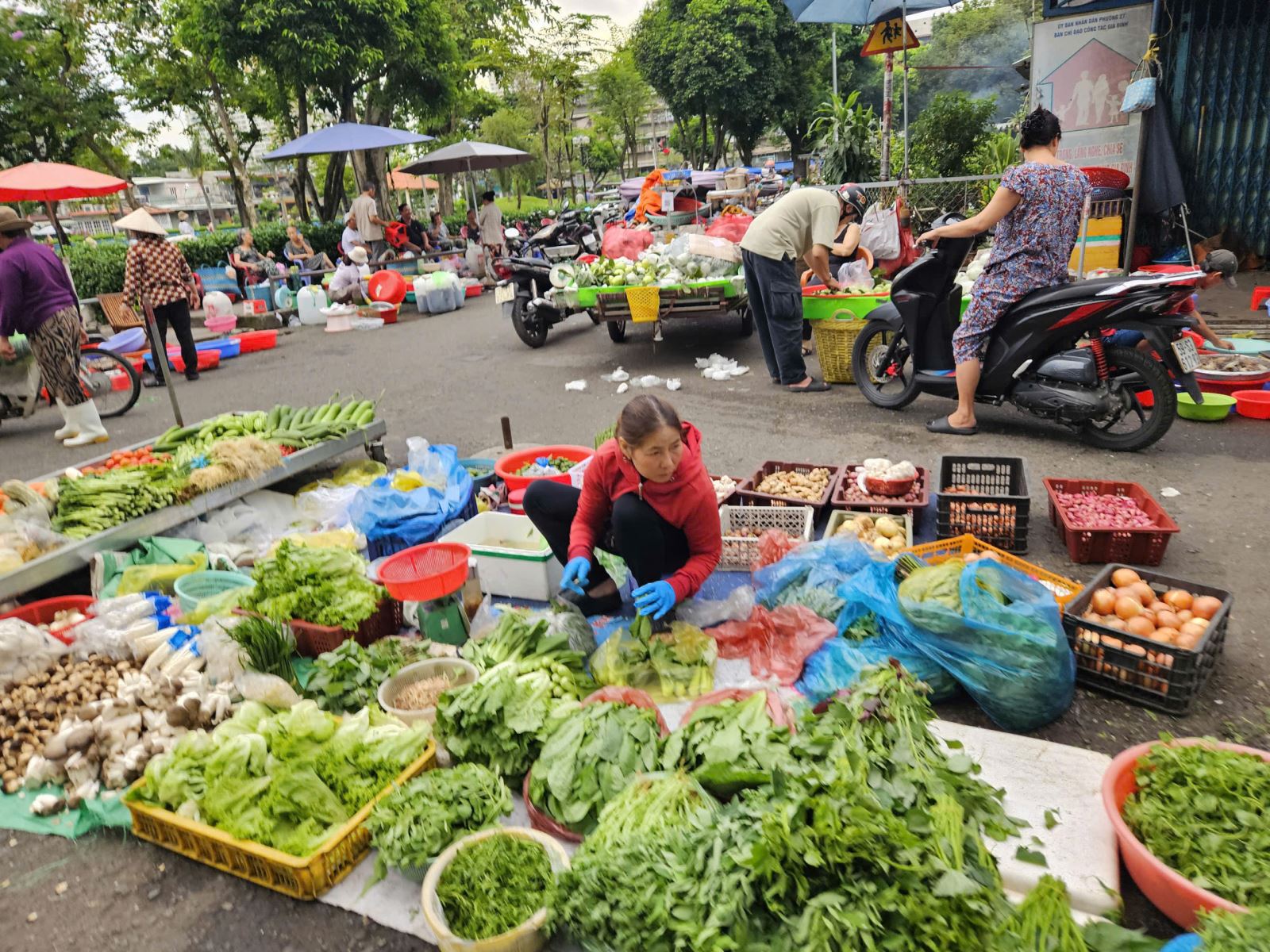 写真のキャプション