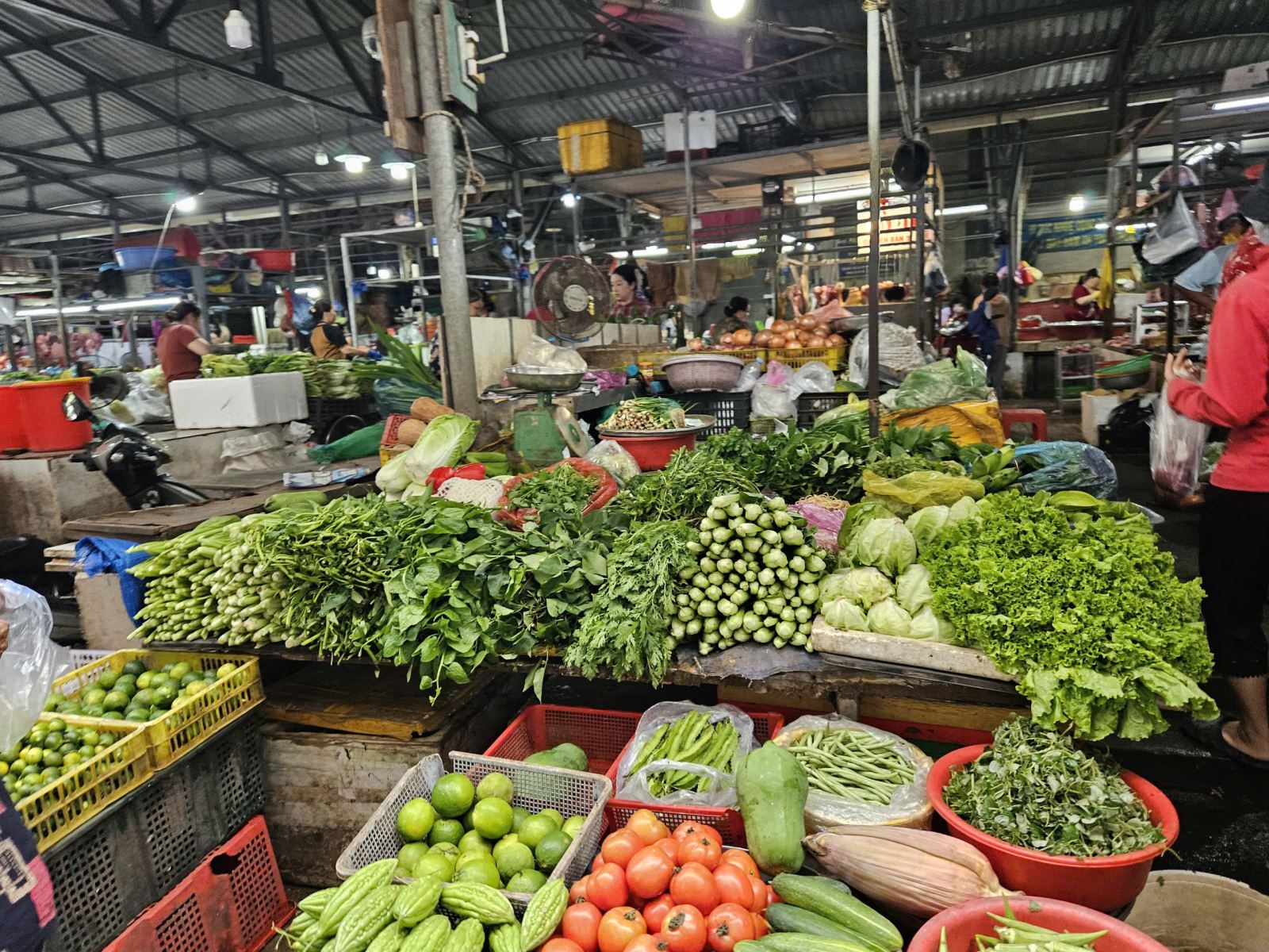 写真のキャプション