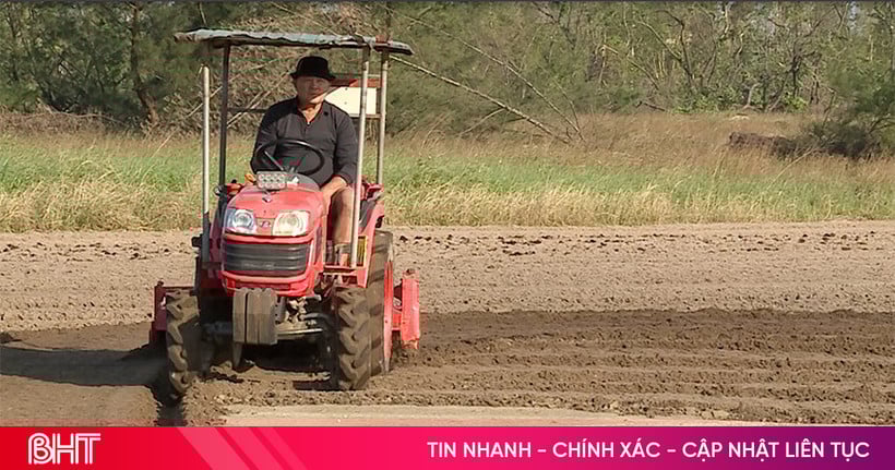 Hối hả xuống đồng, không để "đứt gãy" sản xuất vụ đông