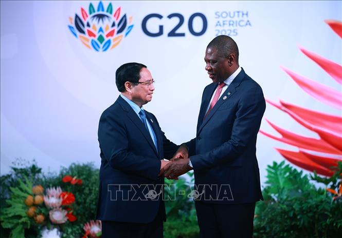 تعليق الصورة