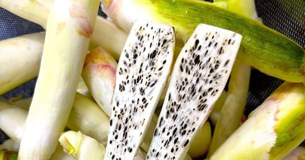 Chỉ từ 25.000 đồng/bó, đặc sản 'sâm trong nước' của Ninh Bình chế biến đủ món ngon ngày lạnh, ăn là nghiền