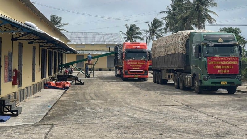১৩ নম্বর ঝড়ে ক্ষতিগ্রস্ত ডাক লাক প্রদেশের মানুষদের সহায়তার জন্য অঞ্চল XII-এর রাজ্য সংরক্ষিত বিভাগের জাতীয় সংরক্ষিত চাল পরিবহনকারী যানবাহন রওনা হয়েছে। (ছবি: সংরক্ষিত বিভাগ)