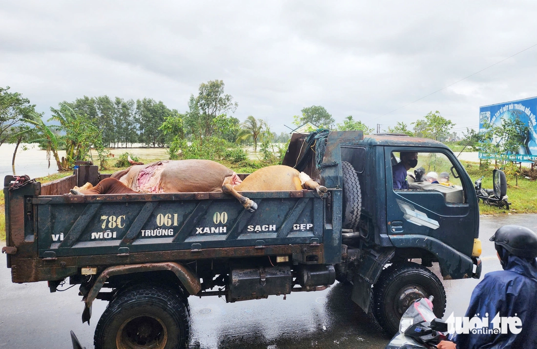 Gemeente Hoa Thinh - Foto 14.