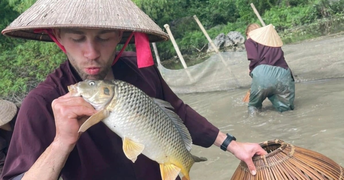 Khách Tây mê làm nông dân ở Việt Nam: Sáng cấy lúa, chiều chăn trâu