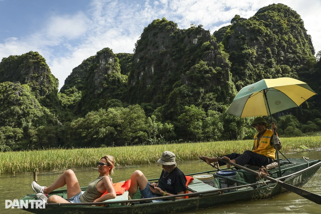 Batılı turistler Vietnam'da çiftçilik yapmayı seviyor: Sabah pirinç ekiyor, öğleden sonra manda güdüyor - 4