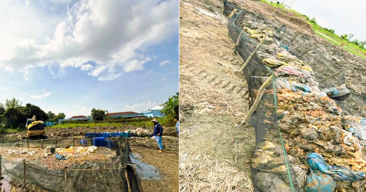 Cần Thơ: Phát hiện công ty chôn lấp chất thải gây ô nhiễm