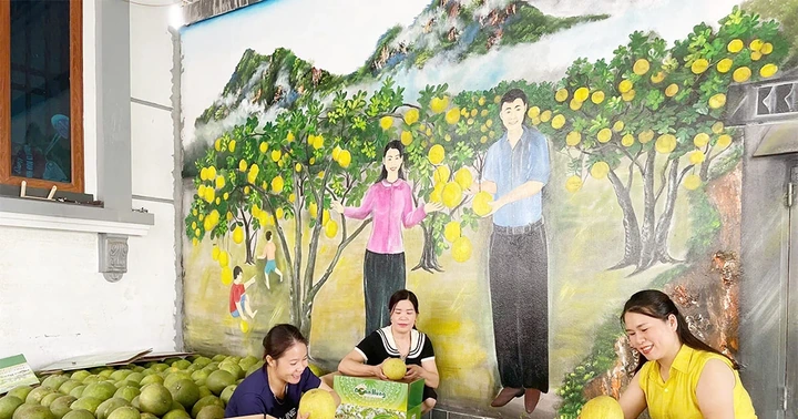 Những mô hình liên kết, tạo bước đột phá cho nông nghiệp