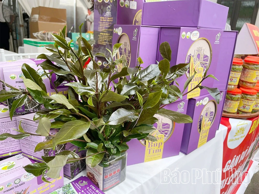 Bağlantı modelleri, tarımda çığır açan buluşlar yaratıyor