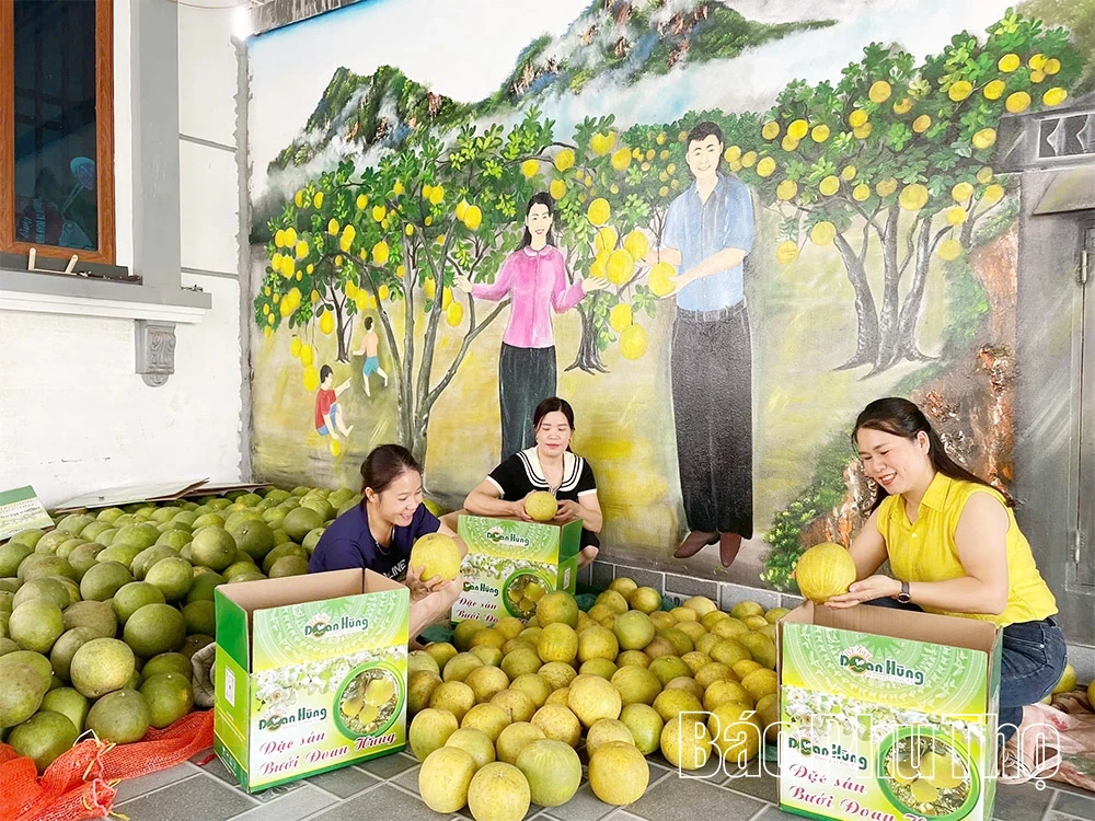 Bağlantı modelleri, tarımda çığır açan buluşlar yaratıyor
