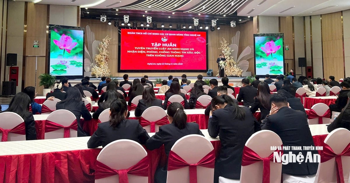 Bồi dưỡng, nâng cao nghiệp vụ cho cán bộ Đoàn các cơ quan Đảng tỉnh