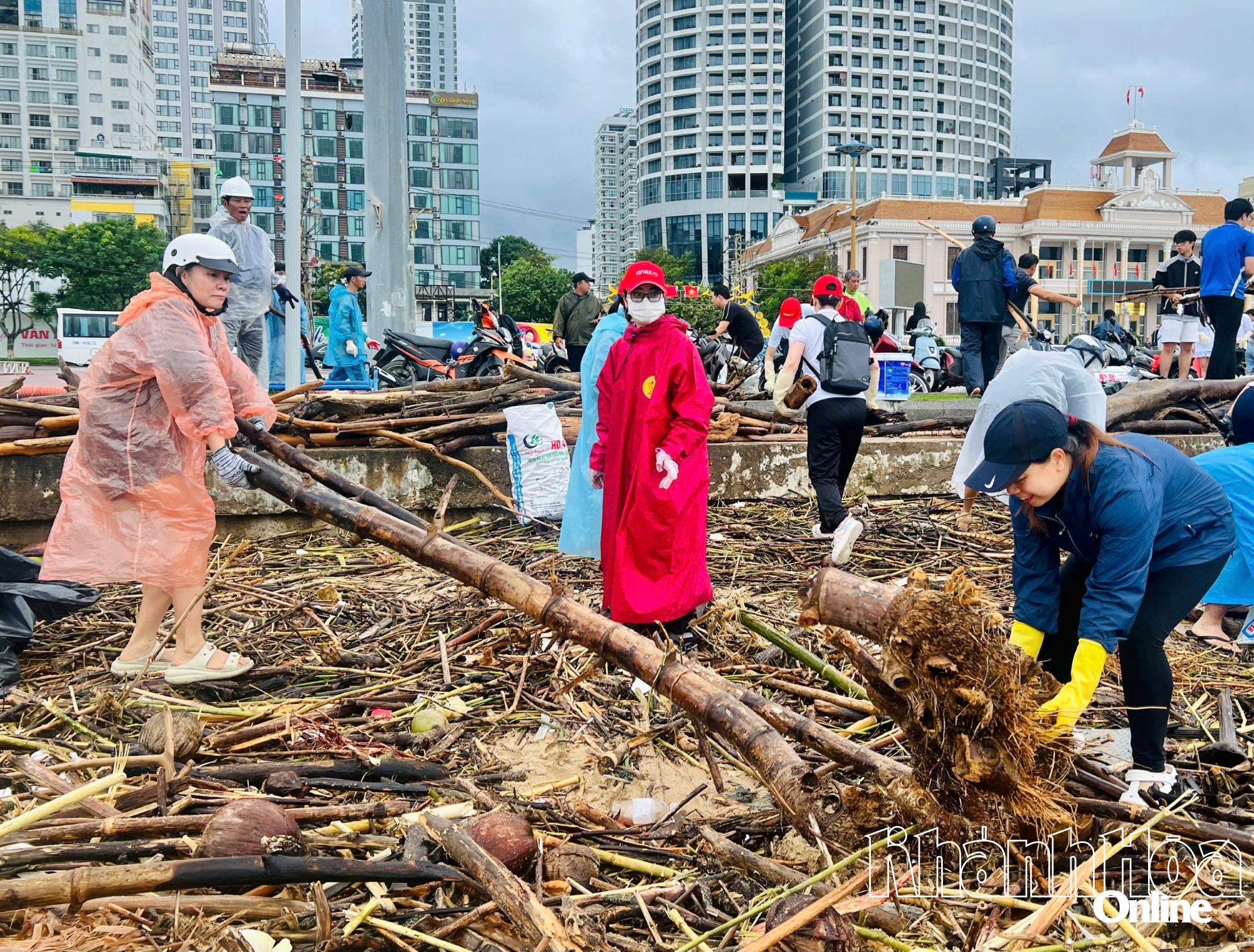 Gần 300 tình nguyện viên ngành du lịch dọn rác trên bãi biển Nha Trang sau mưa lũ