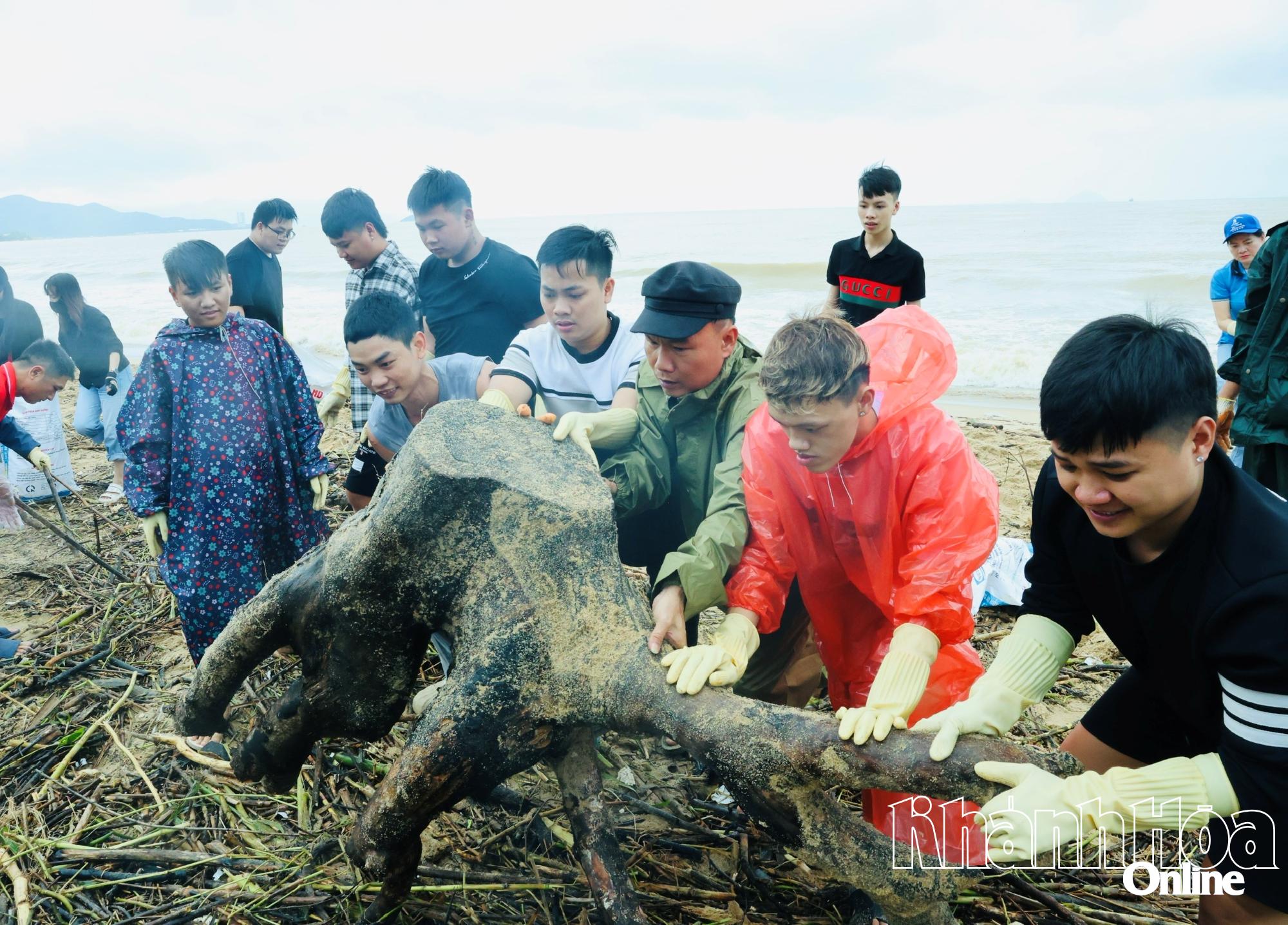 นอกจากขยะในครัวเรือนและกิ่งไม้เล็กๆ แล้ว ยังมีกิ่งไม้ใหญ่ที่ถูกซัดเกยฝั่งอีกด้วย