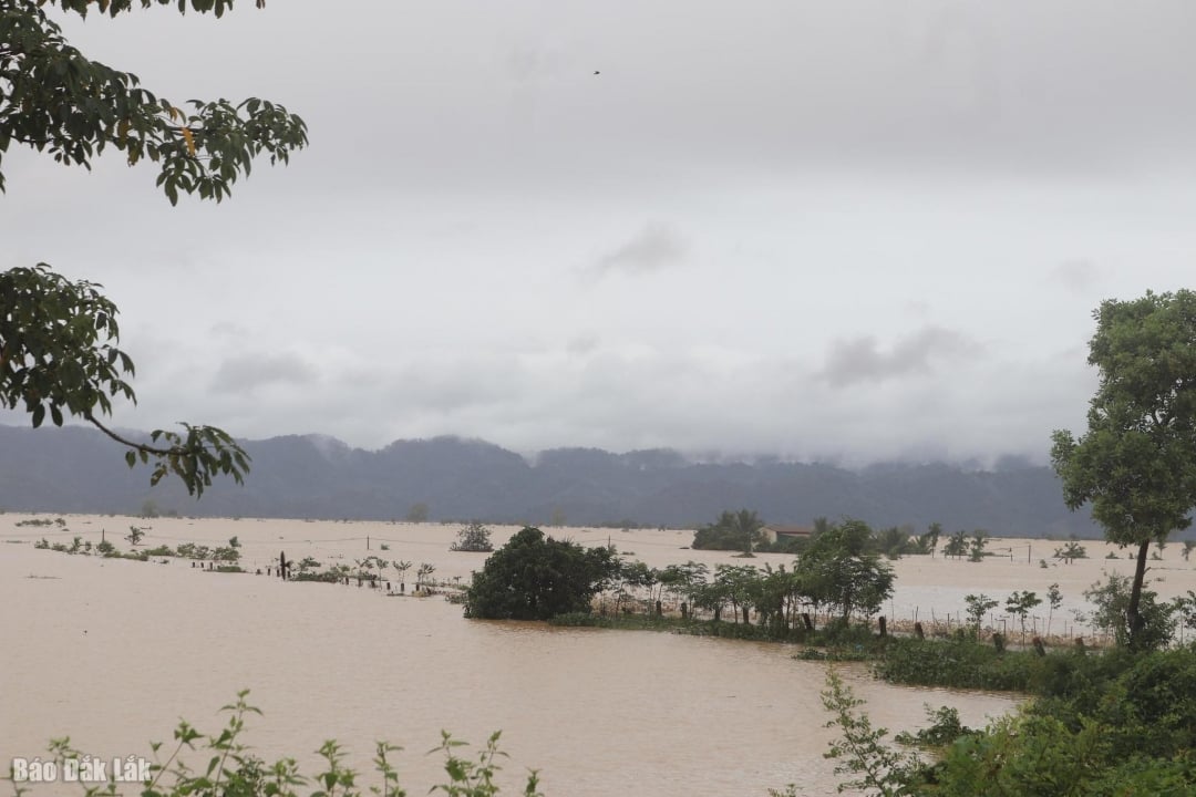 Krông Ana huy động tối đa lực lượng, hỗ trợ người dân trước lũ dâng cao