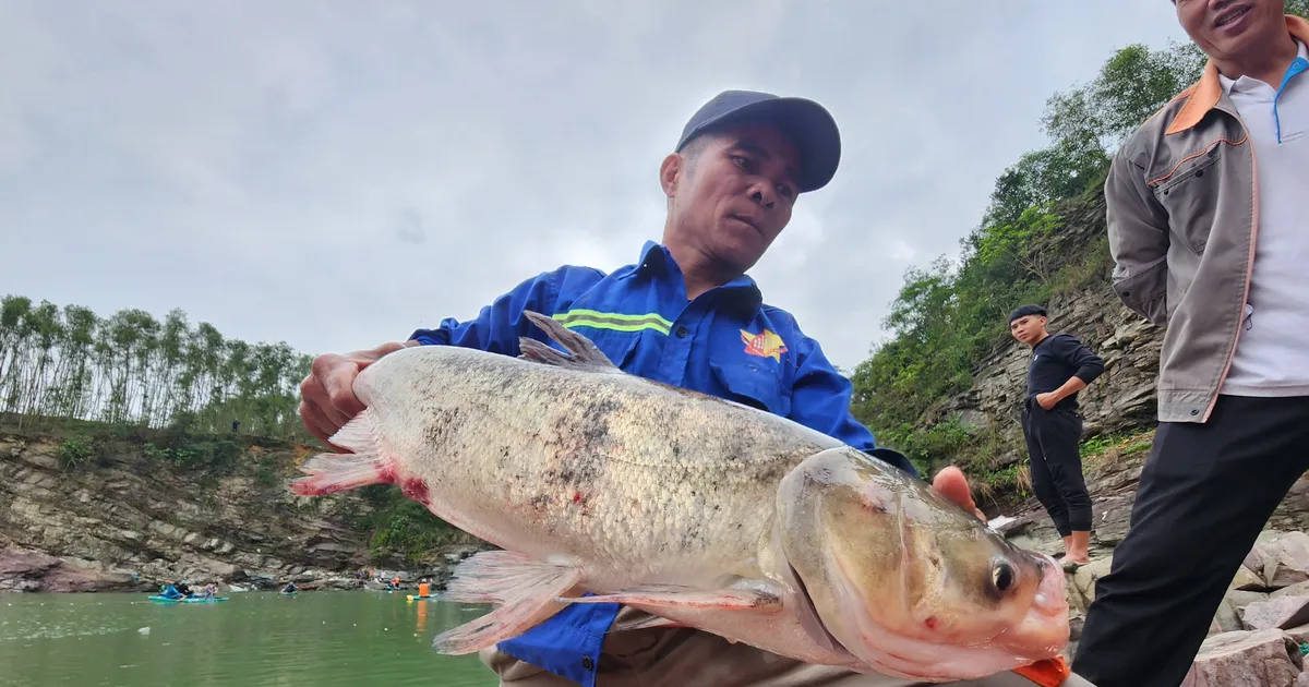 Đóng cửa tràn Dốc Miếu, người dân Hà Tĩnh đổ xô bắt cá dưới chân hồ Kẻ Gỗ