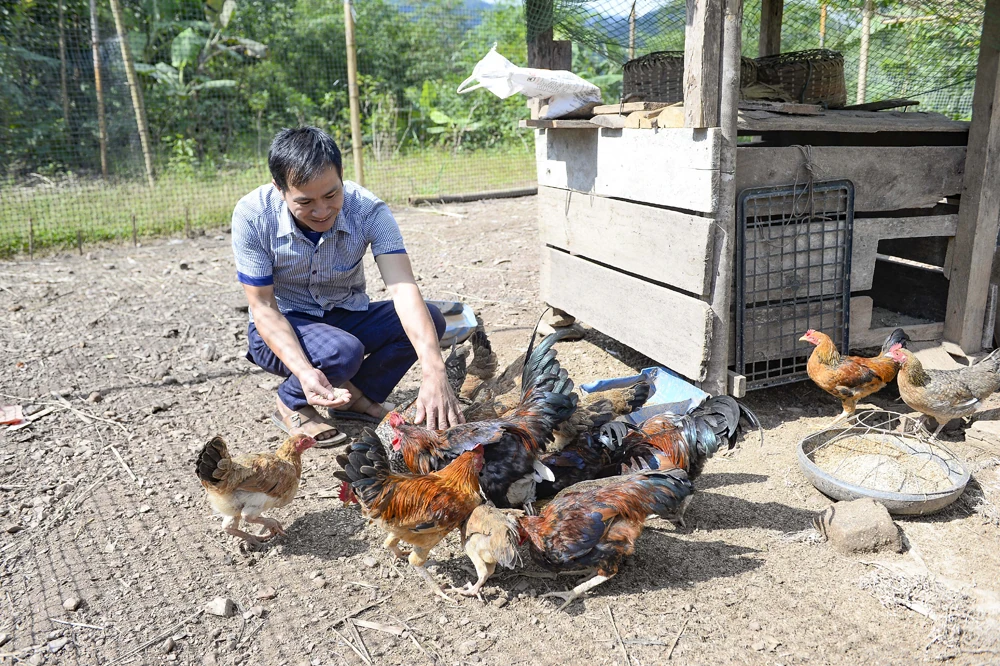 ຢູ່​ເຂດ​ຍົກຍ້າຍ​ຖິ່ນ​ຖານ Co Huong