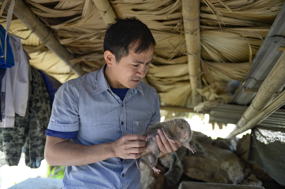 ຢູ່​ເຂດ​ຍົກຍ້າຍ​ຖິ່ນ​ຖານ Co Huong