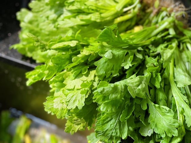 Rau cải cúc mùa ngon nhất giúp ấm phổi và ngủ ngon trong ngày lạnh - Ảnh 2.